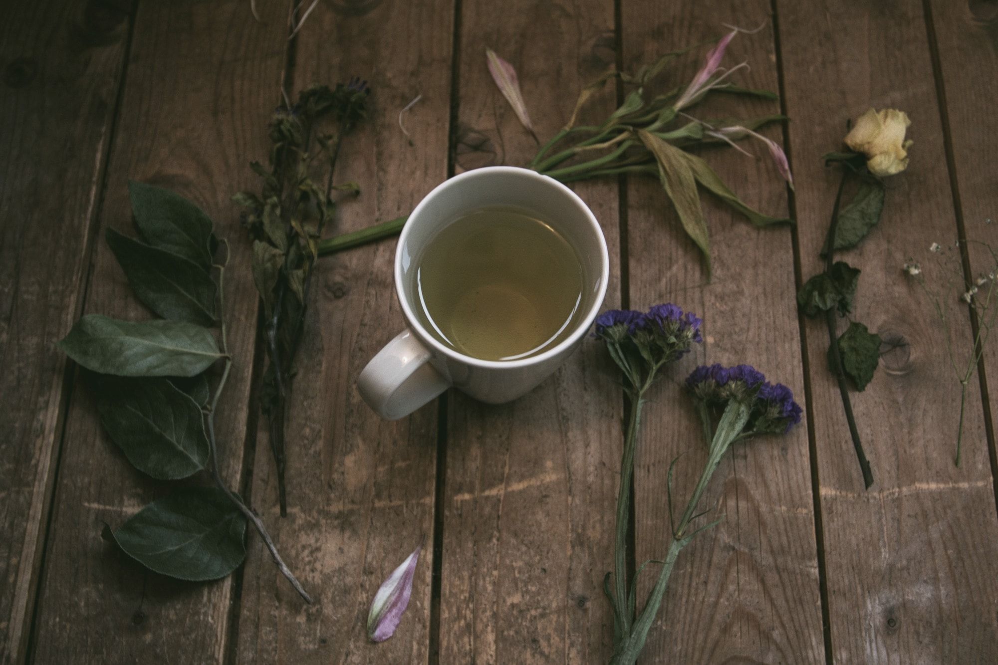 Tazza di tisana su un tavolo di legno tra piante verdi